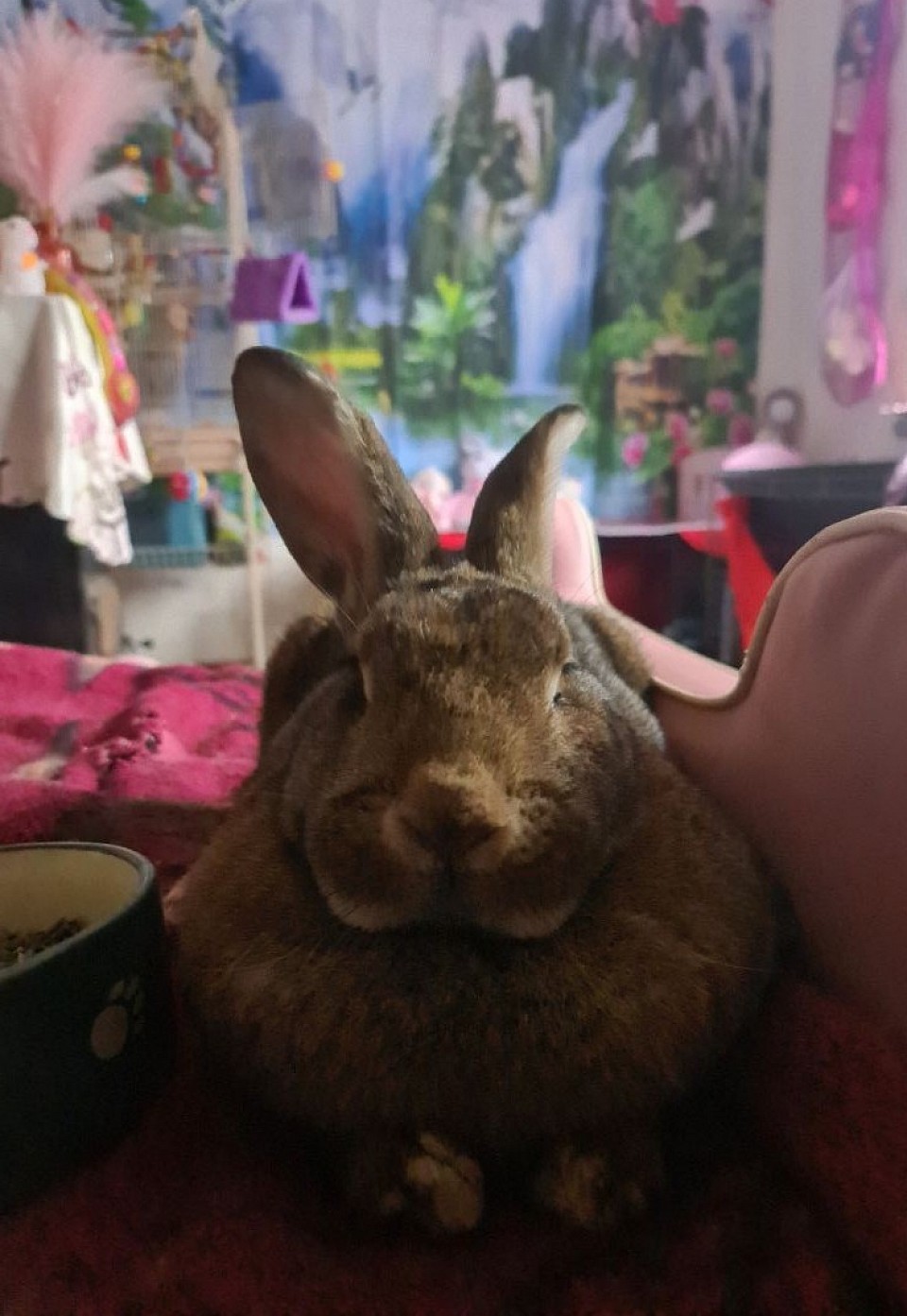 I
